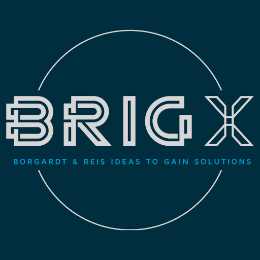 BRIGX GmbH logo