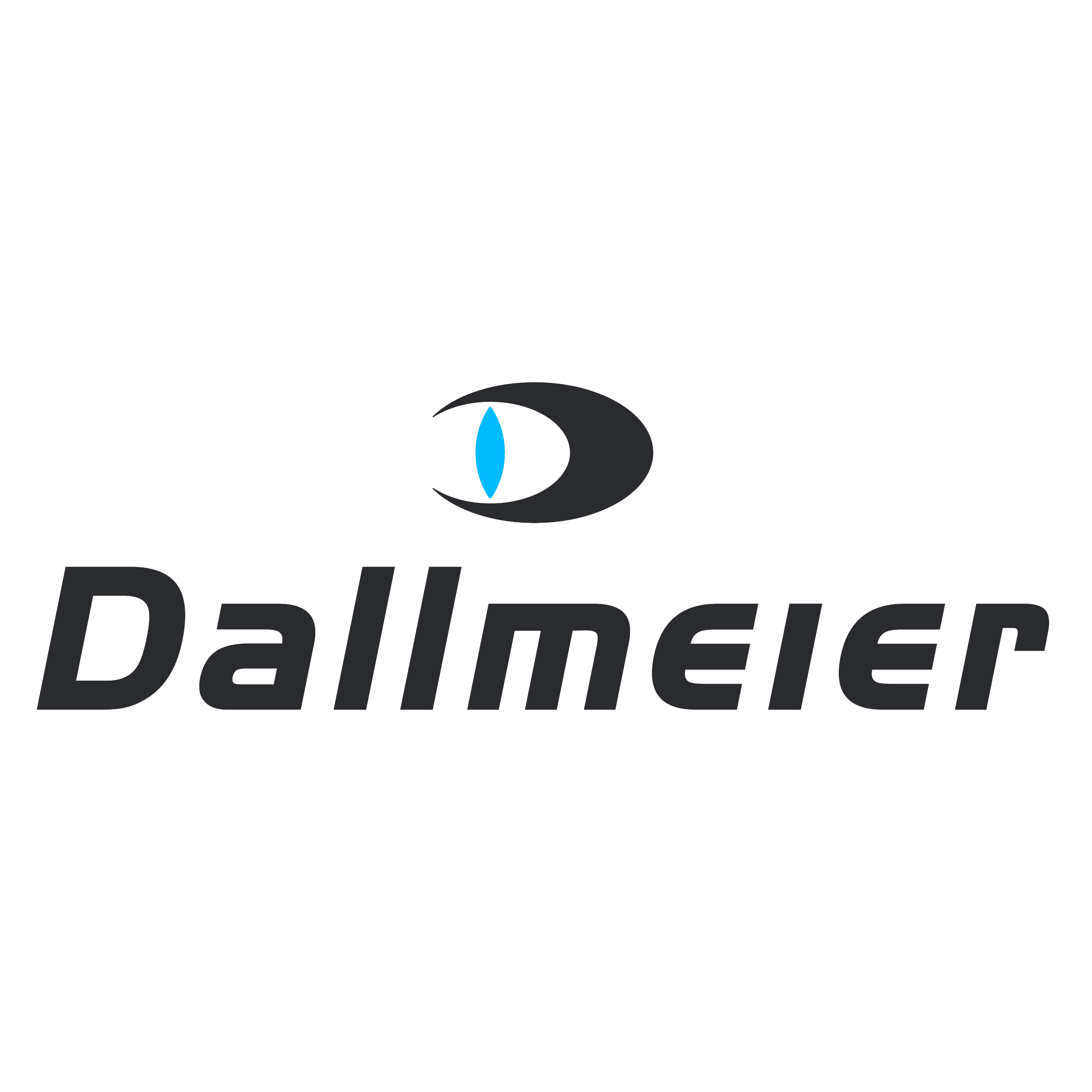 Dallmeier electronic GmbH & Co.KG logo